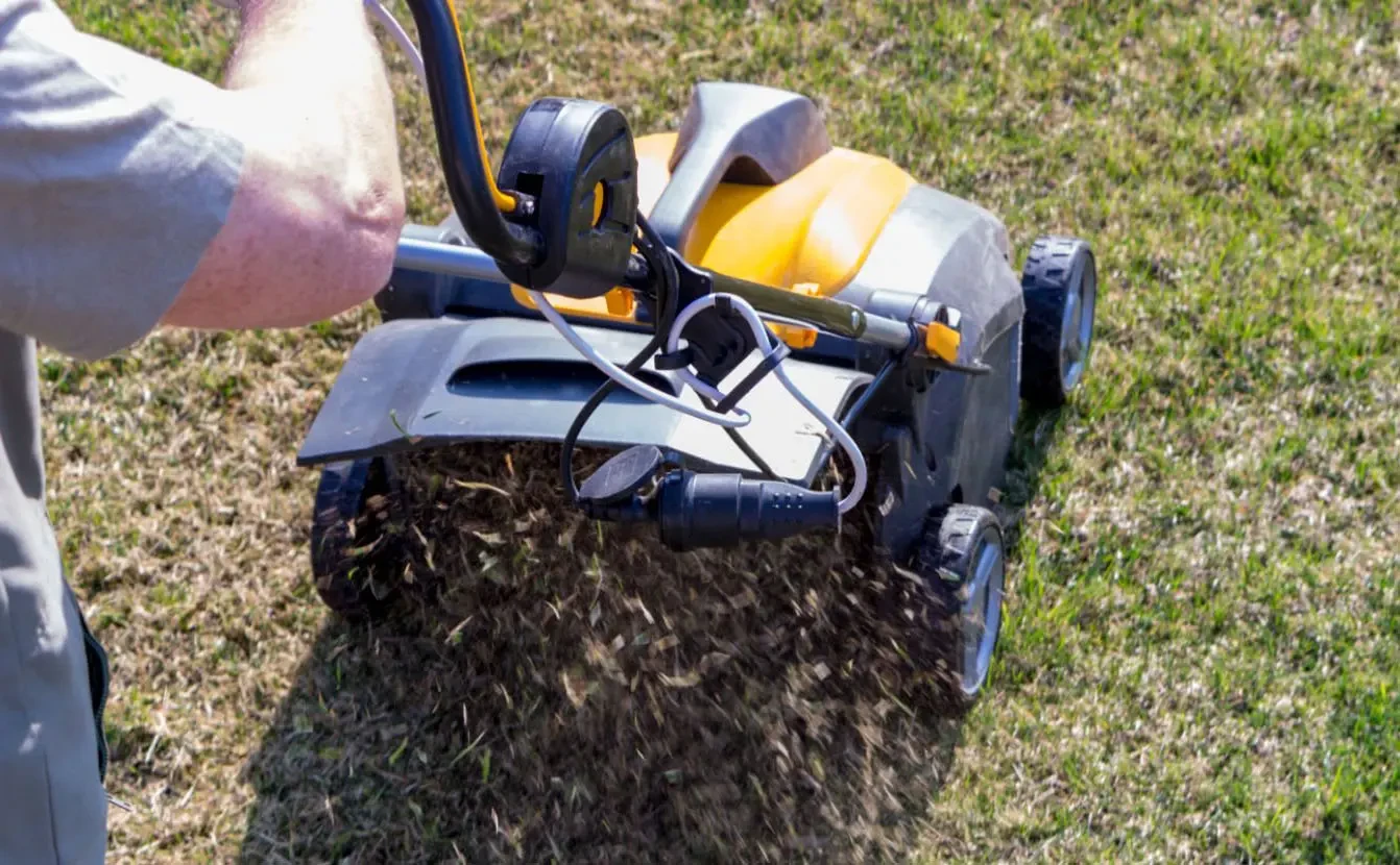 scarifier-pelouse