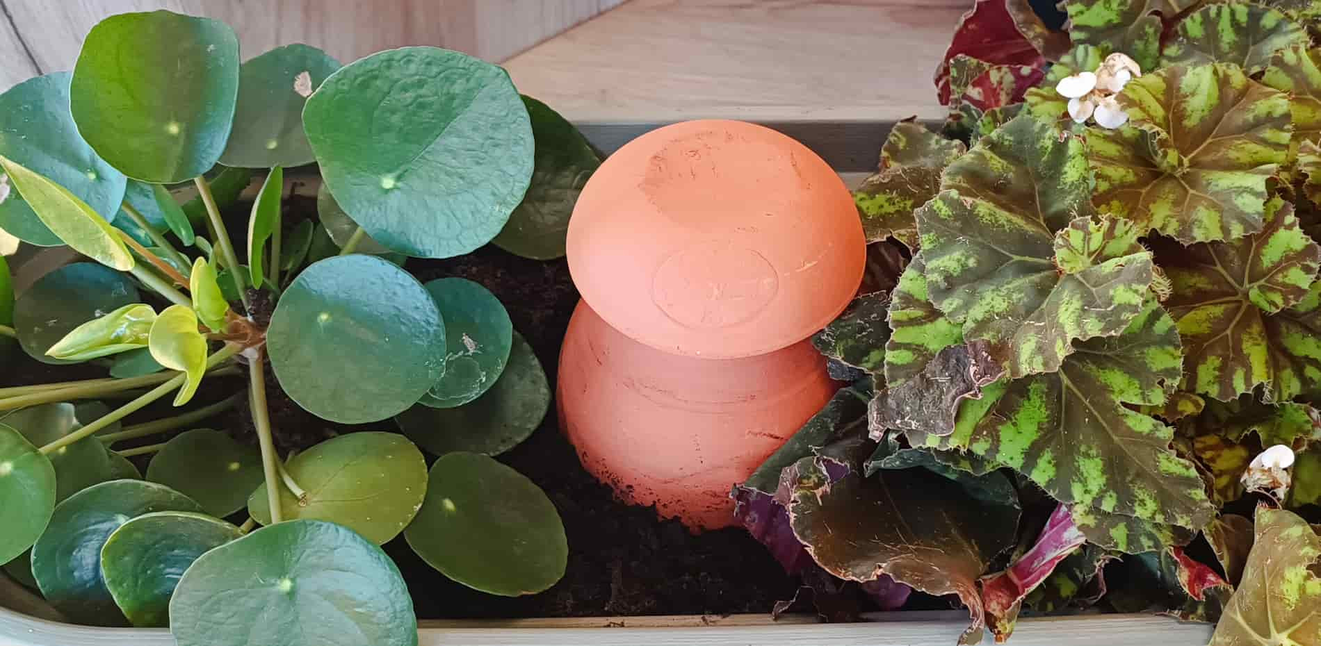 ollas-pot