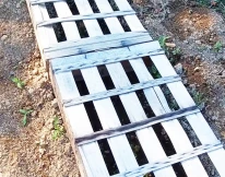 cagette-ombrage-potager