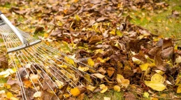 automne