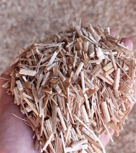 miscanthus-paillage