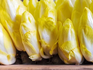 endive-forcage