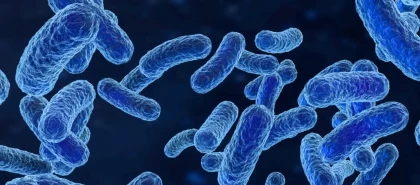 escherichia-coli