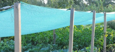 voile-ombrage-potager