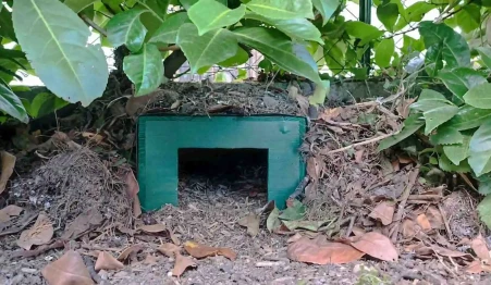 cabane-a-herisson
