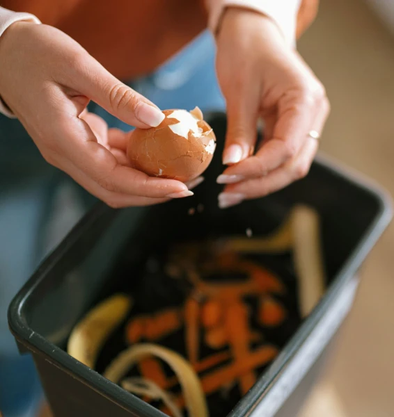 Bac de déchets alimentaires dans une cuisine.