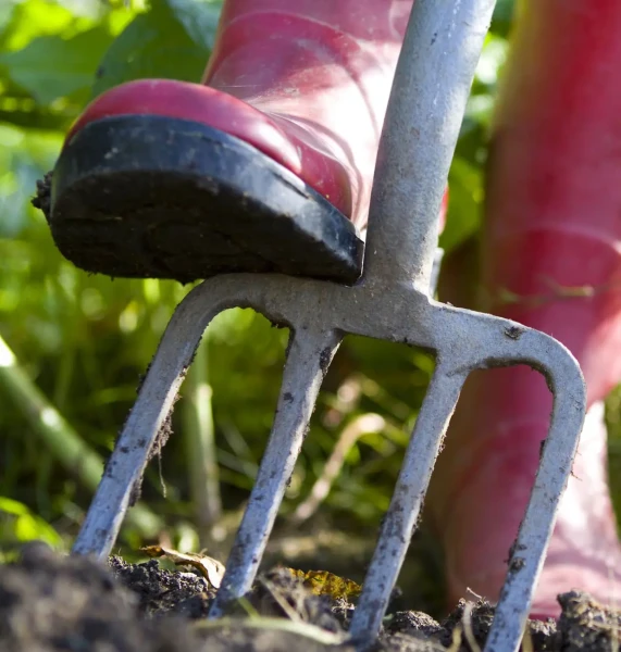 Jardinier ameublissant la terre d’un potager avec une fourche-bêche.