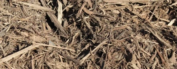 paillage-brf