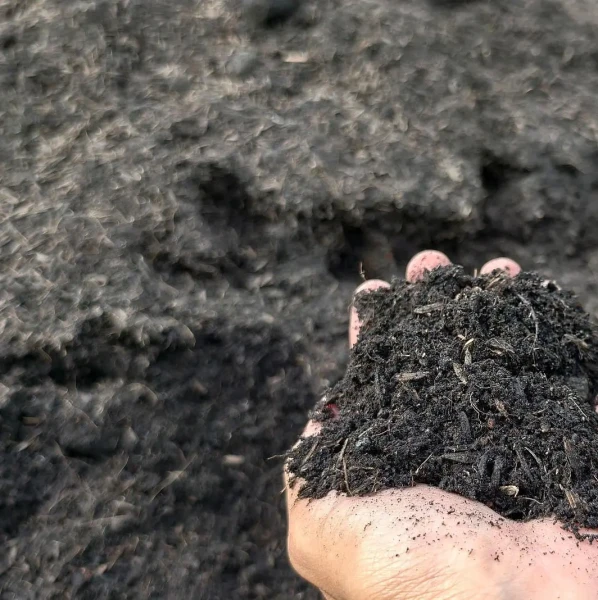 Compost végétal dans une main.