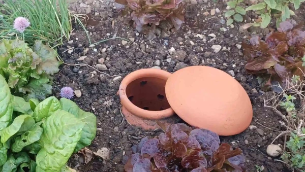 Lombricomposteur en terre cuite à enterrer.