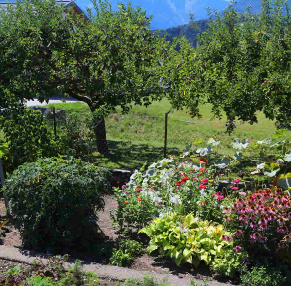 Vue d'un jardin potager et d'un verger