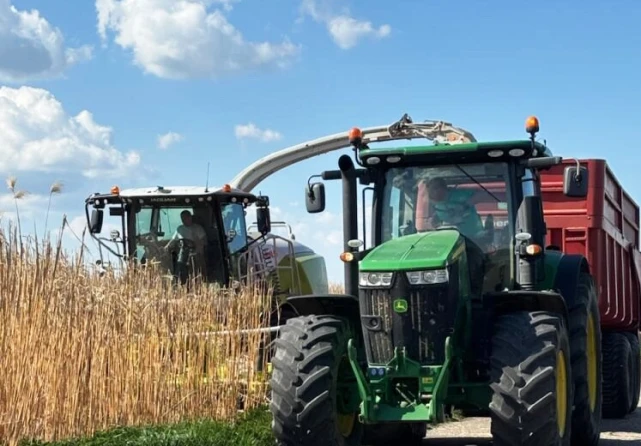 producteur-de-miscanthus