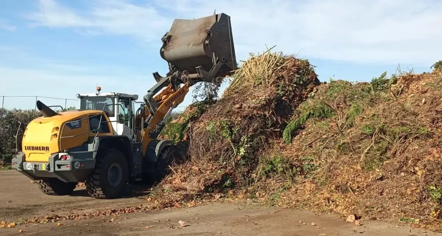 Plateforme de recyclage des déchets verts.